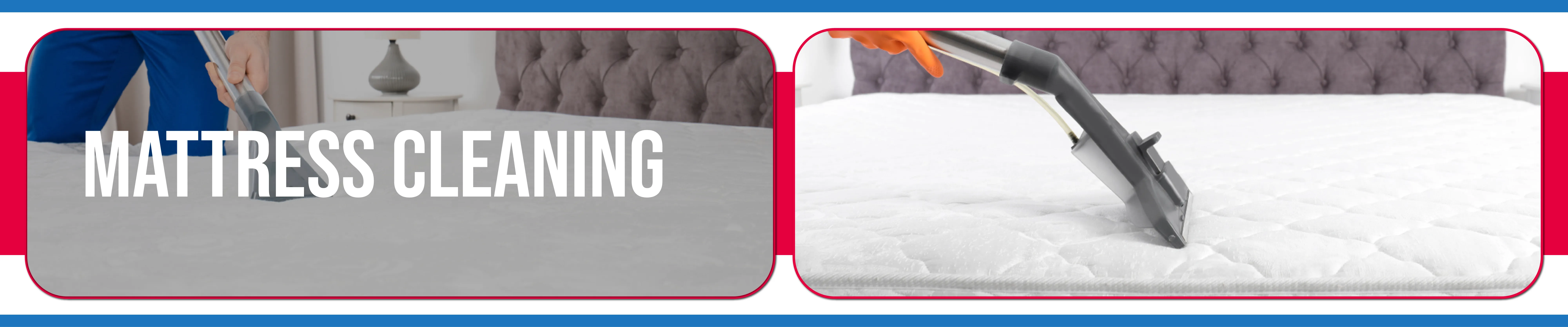 carpet cleaning in Nassau, carpet cleaner in Nassau, carpet cleaners in Nassau, carpet cleaners in new york, commercial carpet cleaning, commercial carpet cleaning in Nassau, rug cleaning in Nassau,rug cleaners Nassau, Nassau rug cleaners, rug cleaning services in Nassau, same day carpet cleaning,pet cleaning in Nassau, pet cleaner in Nassau, pet cleaners in Nassau, pet cleaners in new york, organic cleaning in Nassau, organic cleaner in Nassau, organic cleaners in Nassau, organic cleaners in new york, mattress cleaning in Nassau, mattress cleaner in Nassau, upholstery cleaners in Nassau, upholstery cleaners in new york, Miscellaneous cleaning in Nassau, Miscellaneous cleaner in Nassau, bed bug cleaners in Nassau, bed bug cleaners in new york, damage service in Nassau, allergy control in Nassau, same day rug cleaning