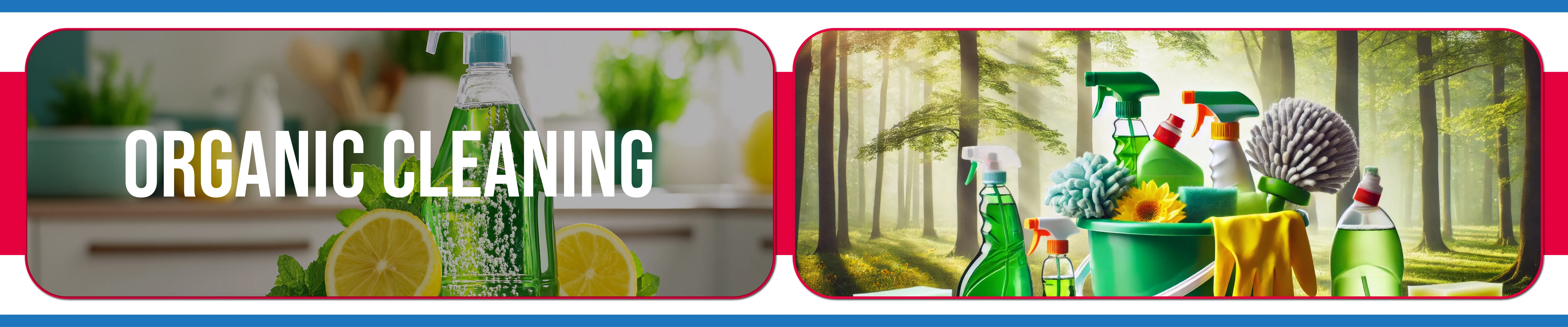 carpet cleaning in Nassau, carpet cleaner in Nassau, carpet cleaners in Nassau, carpet cleaners in new york, commercial carpet cleaning, commercial carpet cleaning in Nassau, rug cleaning in Nassau,rug cleaners Nassau, Nassau rug cleaners, rug cleaning services in Nassau, same day carpet cleaning,pet cleaning in Nassau, pet cleaner in Nassau, pet cleaners in Nassau, pet cleaners in new york, organic cleaning in Nassau, organic cleaner in Nassau, organic cleaners in Nassau, organic cleaners in new york, mattress cleaning in Nassau, mattress cleaner in Nassau, upholstery cleaners in Nassau, upholstery cleaners in new york, Miscellaneous cleaning in Nassau, Miscellaneous cleaner in Nassau, bed bug cleaners in Nassau, bed bug cleaners in new york, damage service in Nassau, allergy control in Nassau, same day rug cleaning